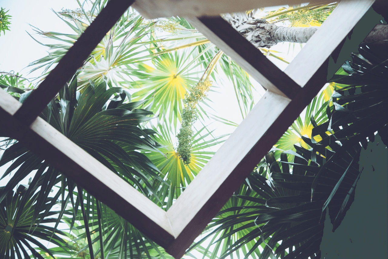 ARCA Tulum — contemporary Mexican fine dining in the Mayan jungle