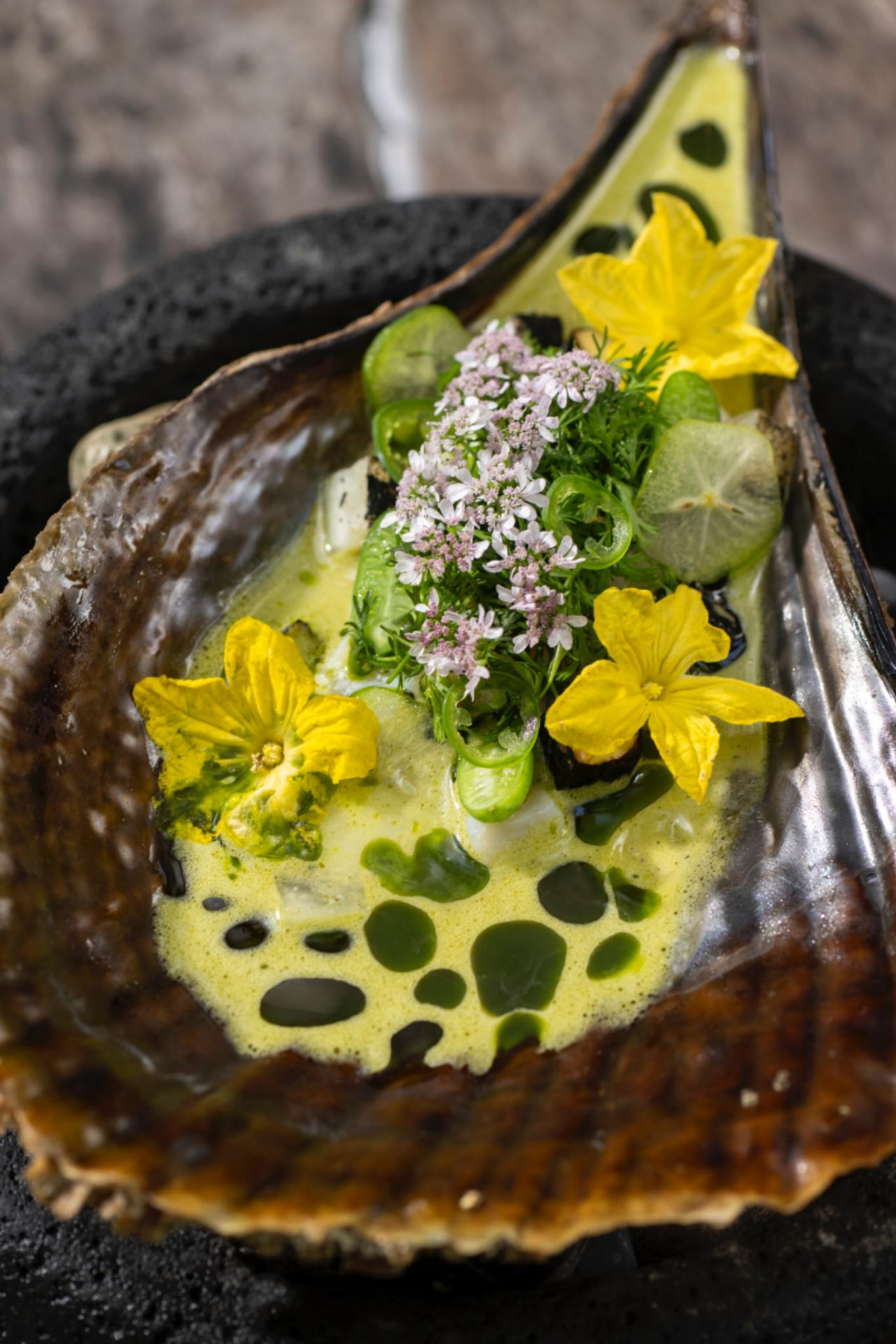 Crudo de callo de concha espina con aguachile verde y flores amarillas servido en concha, ARCA Tulum