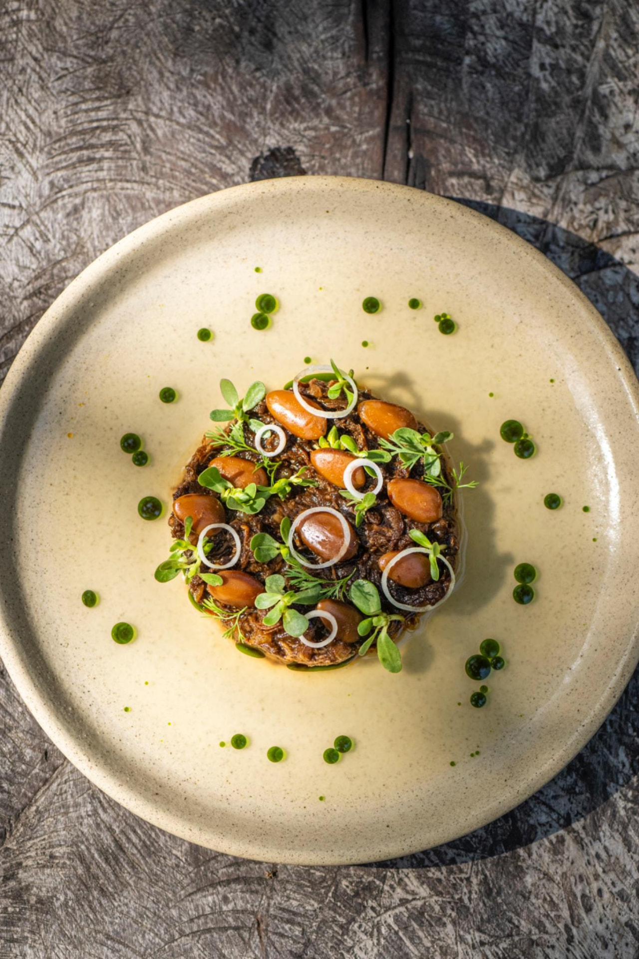 Lechón confitado con chicharrón y hojas en plato claro con puntos de aceite verde, ARCA Tulum